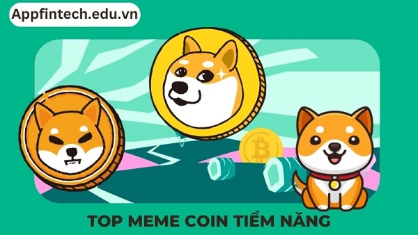top meme coin